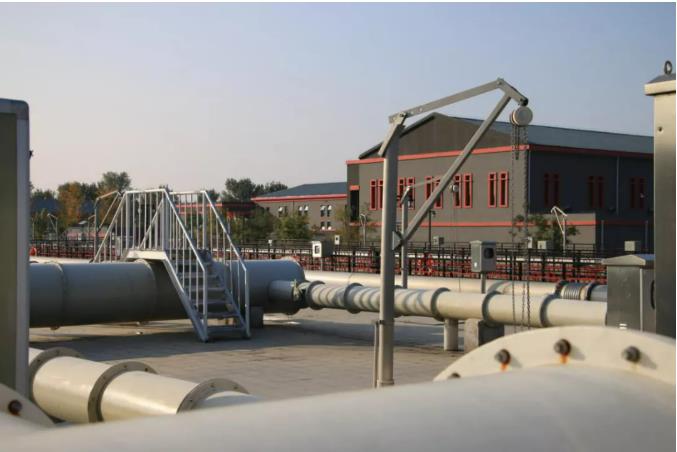 中科院研究揭示環(huán)形RNA促進(jìn)相分離調(diào)控腫瘤發(fā)展分子機(jī)制-肽度TIMEDOO