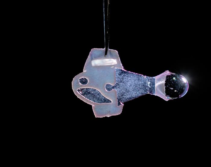 人類(lèi)心肌細(xì)胞制成“人造魚(yú)”，可自主游泳超百天-肽度TIMEDOO