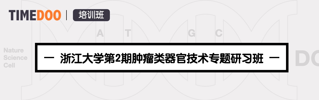 7月開班 浙江大學(xué)第2期腫瘤類器官技術(shù)專題研習(xí)班-肽度TIMEDOO