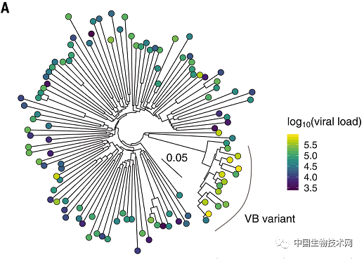 Science：HIV病毒超強(qiáng)變異，為艾滋病進(jìn)程開倍速-肽度TIMEDOO