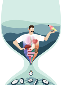 重新理解衰老:華大首次通過多組學(xué)研究發(fā)現(xiàn)個(gè)體不同器官和系統(tǒng)擁有不同生物學(xué)年齡-肽度TIMEDOO