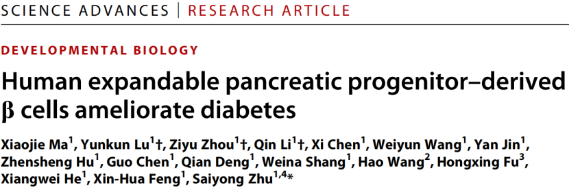 浙大團(tuán)隊(duì)發(fā)明人胰島細(xì)胞及胰島類(lèi)器官新技術(shù)，胰島前體細(xì)胞純度高達(dá)90%以上，并且具有生理功能-肽度TIMEDOO
