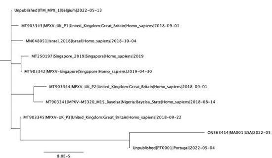 猴痘病毒最新基因測序：溫和西非株系，與三年前英國毒株相近-肽度TIMEDOO
