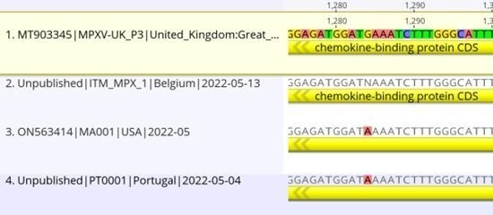 猴痘病毒最新基因測序：溫和西非株系，與三年前英國毒株相近-肽度TIMEDOO