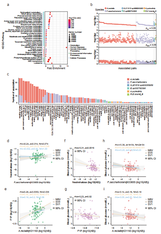 Nature Communications｜微生物所王軍研究組結(jié)合三代測(cè)序合作解析腸道菌群結(jié)構(gòu)變異和功能-肽度TIMEDOO