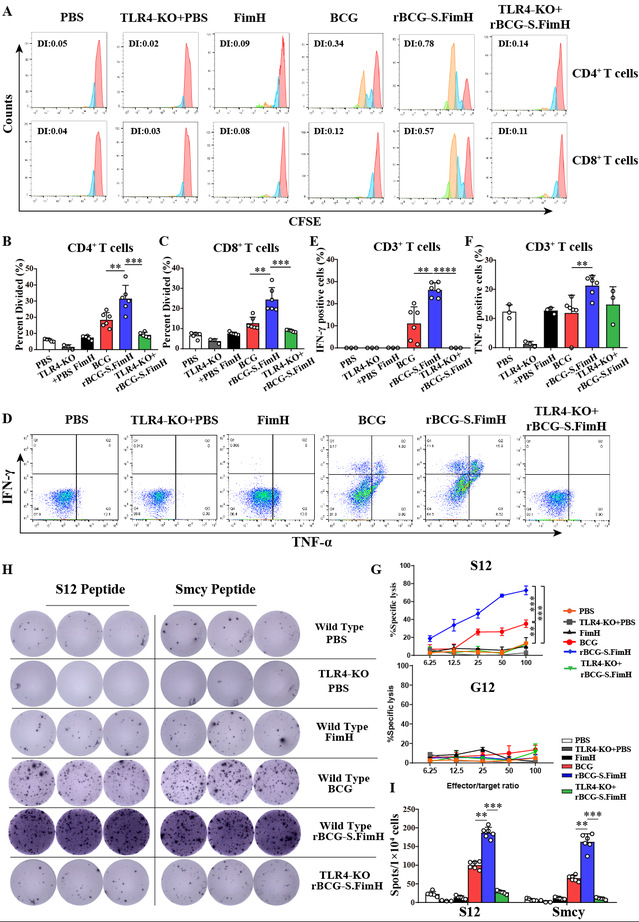 南京大學(xué)閆超課題組開(kāi)發(fā)靶向糖基化的新型卡介苗用于膀胱癌免疫治療-肽度TIMEDOO