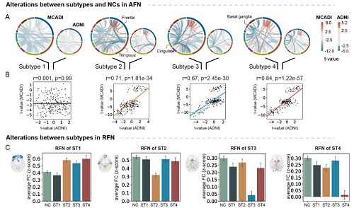 AD亞型的功能連接損傷模式.png 腦網(wǎng)絡(luò)研究為阿爾茨海默病精準診療奠定基礎(chǔ)-肽度TIMEDOO