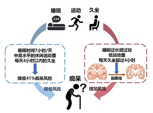 7012.jpg 保姆級預(yù)防癡呆“電子處方”來了-肽度TIMEDOO