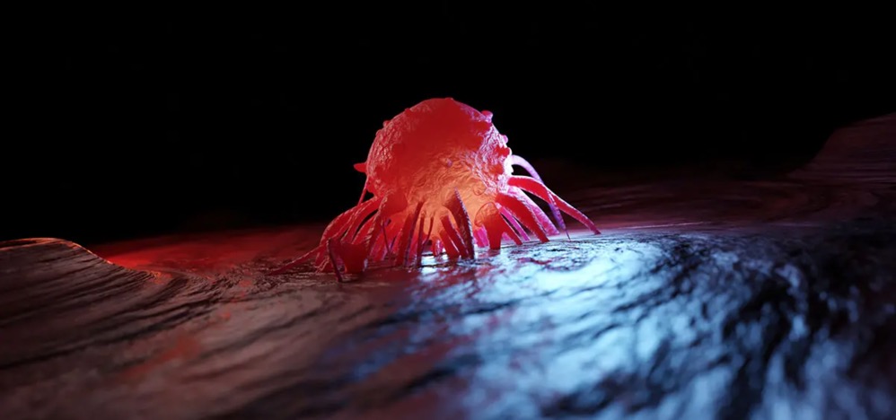 新療法將癌癥基因轉(zhuǎn)化為免疫系統(tǒng)的“吃我”信號(hào)-肽度TIMEDOO