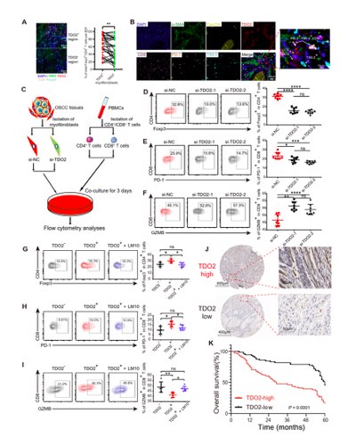 北京大學(xué)JCI | 白凡課題組與合作者揭示口腔癌變關(guān)鍵調(diào)控機制和新的治療靶點-肽度TIMEDOO
