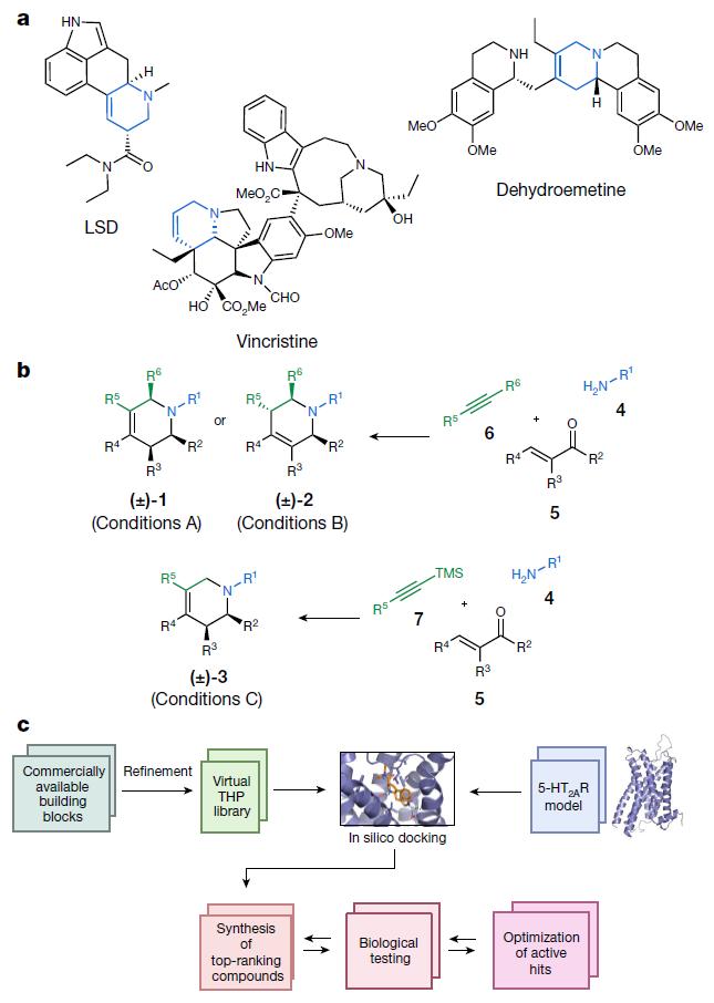 Nature：虛擬藥物篩選，識(shí)別出副作用更小的潛在新抗抑郁藥物-肽度TIMEDOO
