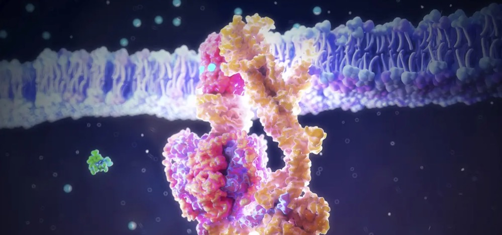 科學家們可能終于找到了為什么ATP能驅(qū)動地球上所有的生命-肽度TIMEDOO