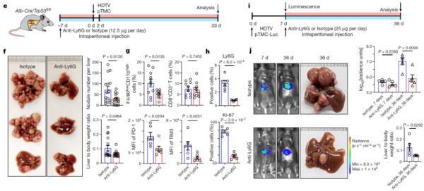 北大團隊重大發(fā)現(xiàn)！癌癥治療新思路-肽度TIMEDOO