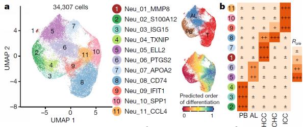 北大團隊重大發(fā)現(xiàn)！癌癥治療新思路-肽度TIMEDOO