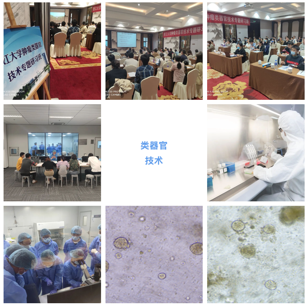 2023年3月30日-4月2日|浙江大學(xué)第4期腫瘤類(lèi)器官專(zhuān)題研習(xí)班(名額有限)-肽度TIMEDOO