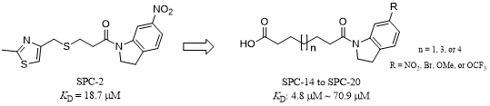 ACS Central Science | 以不變應(yīng)萬變:黃牛實驗室利用虛擬篩選方法發(fā)現(xiàn)可調(diào)控新冠病毒刺突蛋白構(gòu)象轉(zhuǎn)變的小分子調(diào)節(jié)劑-肽度TIMEDOO