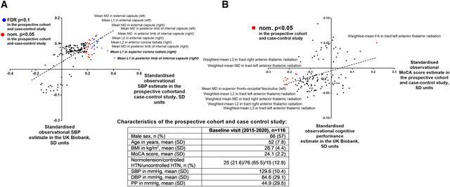 高血壓損害的大腦特定區(qū)域首次確定，與認知能力下降和癡呆癥有關-肽度TIMEDOO