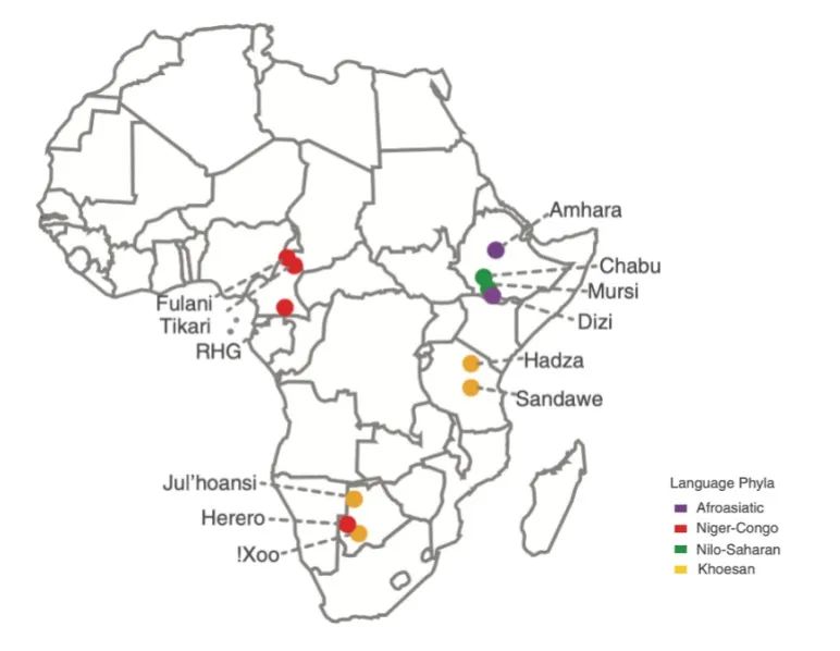 七年磨一劍！復(fù)旦大學(xué)、賓夕法尼亞大學(xué)發(fā)表最新研究成果-肽度TIMEDOO