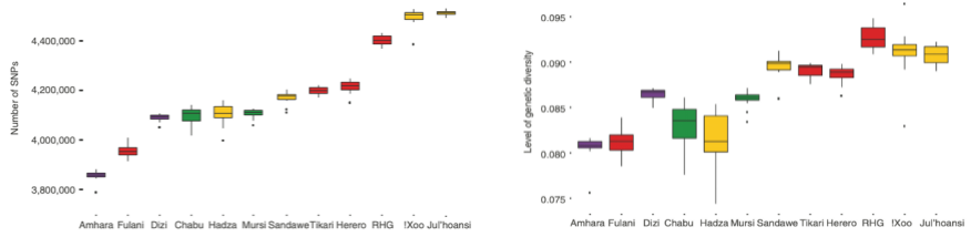 七年磨一劍！復(fù)旦大學(xué)、賓夕法尼亞大學(xué)發(fā)表最新研究成果-肽度TIMEDOO