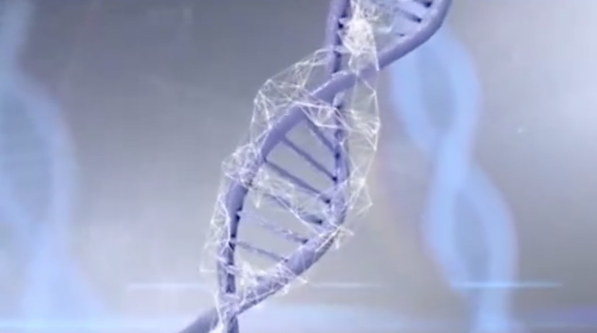 生成式AI設(shè)計(jì)出非天然蛋白質(zhì)-肽度TIMEDOO