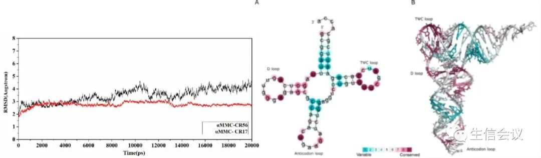 6月開班|計(jì)算機(jī)輔助藥物設(shè)計(jì)與分子動力學(xué)模擬應(yīng)用實(shí)踐班2023年6月27-30日-肽度TIMEDOO
