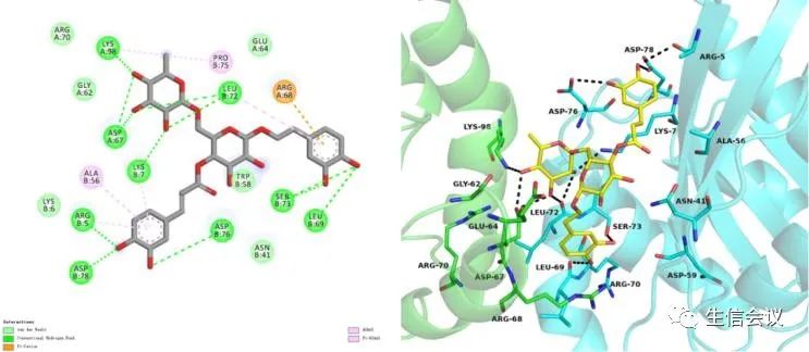 6月開班|計(jì)算機(jī)輔助藥物設(shè)計(jì)與分子動力學(xué)模擬應(yīng)用實(shí)踐班2023年6月27-30日-肽度TIMEDOO