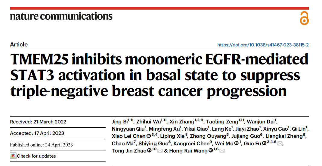 廈門大學王洪睿教授團隊揭示EGFR促進三陰性乳腺癌發(fā)展的新機制-肽度TIMEDOO