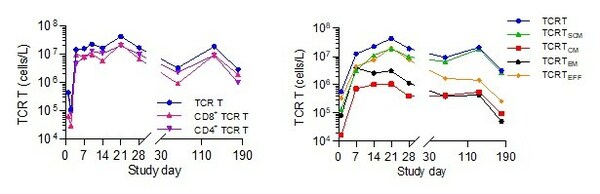 星漢德生物公布SCG101 TCR-T細(xì)胞治療最新突破臨床數(shù)據(jù)-肽度TIMEDOO