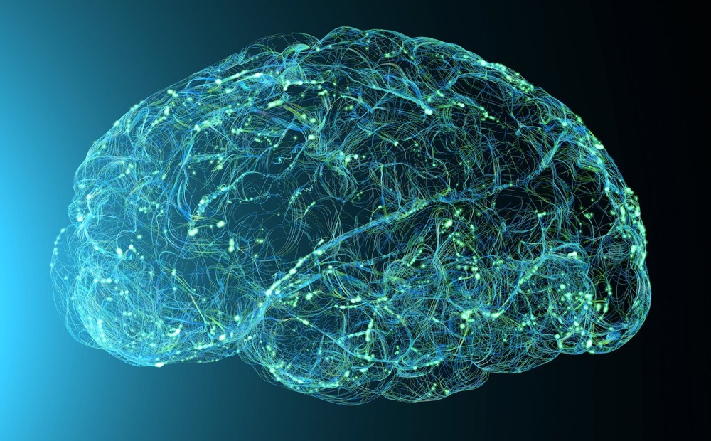 Klotho注射液改善老年獼猴腦功能-肽度TIMEDOO