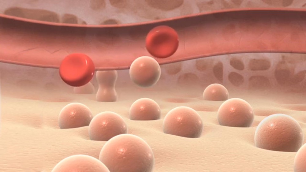 新研究發(fā)現(xiàn):抗體治療可預(yù)防移植相關(guān)疾病的腸道并發(fā)癥-肽度TIMEDOO