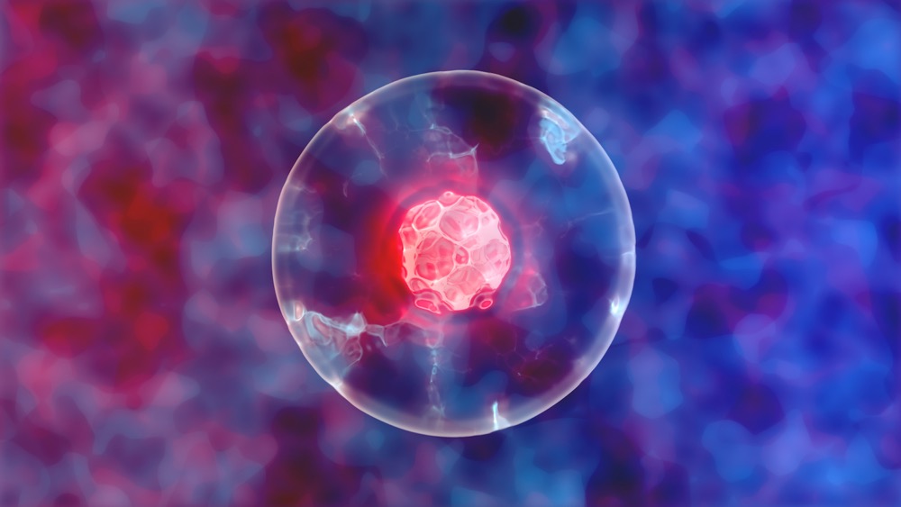 突破性研究：TNT重新編程引領(lǐng)干細胞療法新紀元-肽度TIMEDOO