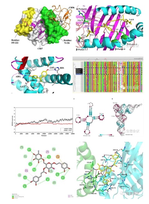 【九月中|現(xiàn)場】十一主題，即學(xué)即用：計算機輔助藥物設(shè)計與分子動力學(xué)模擬應(yīng)用實踐班（2023.9.13-16）-肽度TIMEDOO