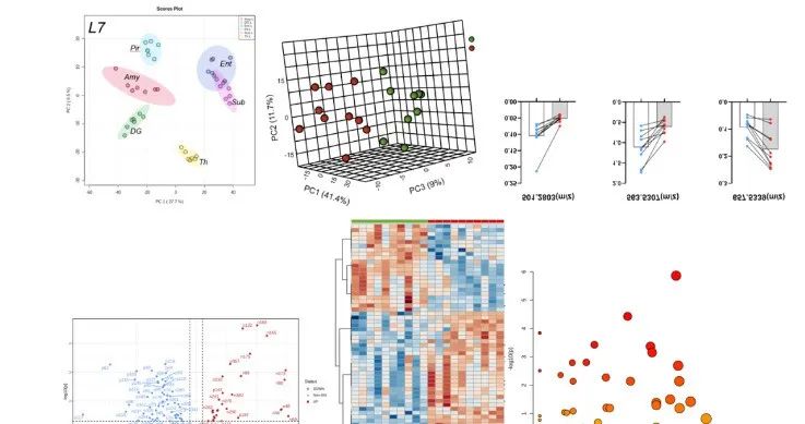 珍藏！三天兩篇Nature,八大專題助力您發(fā)頂刊！-肽度TIMEDOO