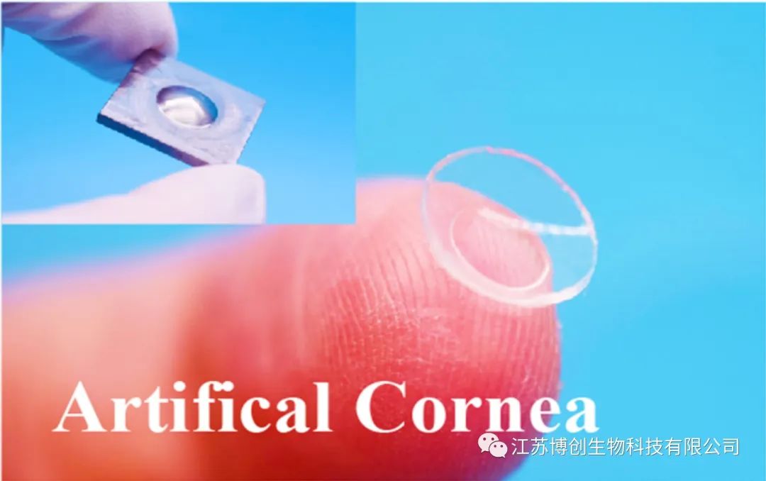 博創(chuàng)生物喜獲天使+輪融資，聚焦高端生物組織功能膜科研轉(zhuǎn)化-肽度TIMEDOO