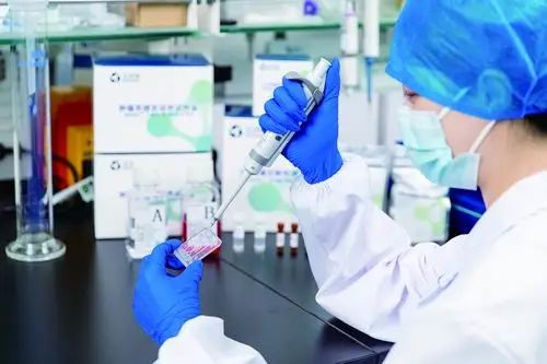 在芯片上造器官，打造千億級“藍?！笔袌?肽度TIMEDOO