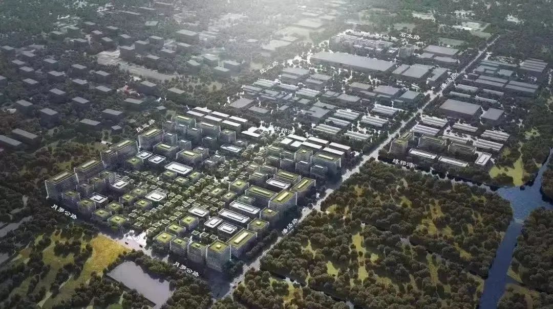 646d7e42e2c773479d6e37b4607e930.jpg 瞄準(zhǔn)新賽道 寶山跨前布局合成生物產(chǎn)業(yè)集聚區(qū) 2023生物醫(yī)藥產(chǎn)業(yè)創(chuàng)新大會(huì)拉開帷幕-肽度TIMEDOO