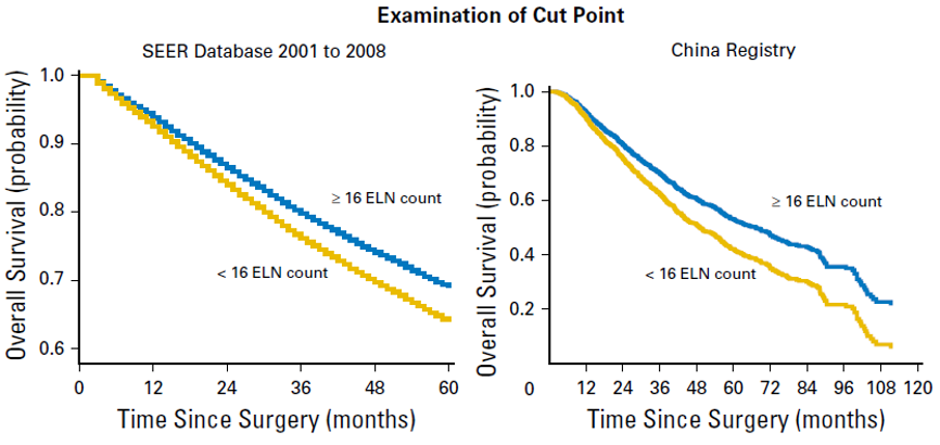 Int J Surg：何建行、朱波、梁文華、蘇春霞合作首次證實(shí)過(guò)度清掃淋巴結(jié)降低免疫治療療效-肽度TIMEDOO