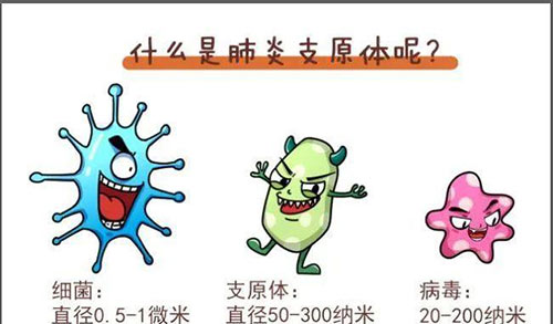 一床難求！今年是“肺炎支原體”流行年？-肽度TIMEDOO