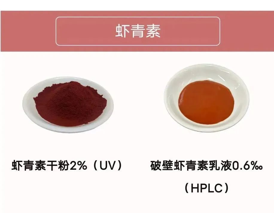 元一生物完成近億元 A 輪融資，加速合成生物學新產品研發(fā)生產-肽度TIMEDOO