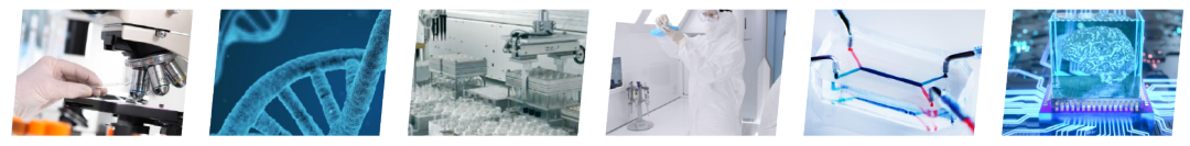 定檔！4月12-13日南京，2024第二屆合成生物學(xué)產(chǎn)業(yè)嘉年華暨展覽會重磅來襲！-肽度TIMEDOO