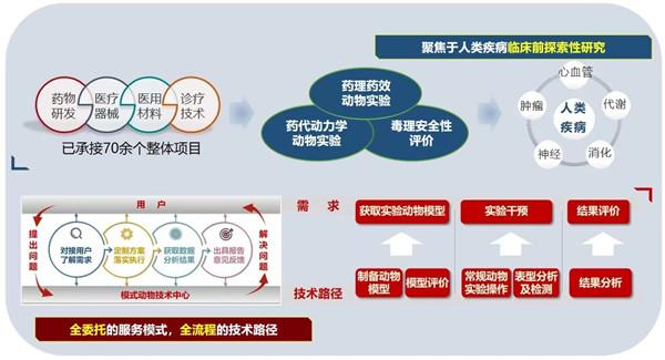 上海交大為“小動物”造了一棟樓 高水平動物實(shí)驗(yàn)平臺支撐科研發(fā)展-肽度TIMEDOO