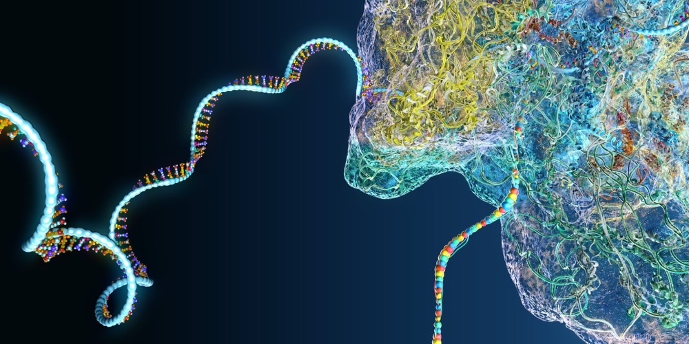 新研究揭示mRNA治療風(fēng)險及預(yù)防策略:設(shè)計'抗滑動'序列提升未來疫苗安全性-肽度TIMEDOO