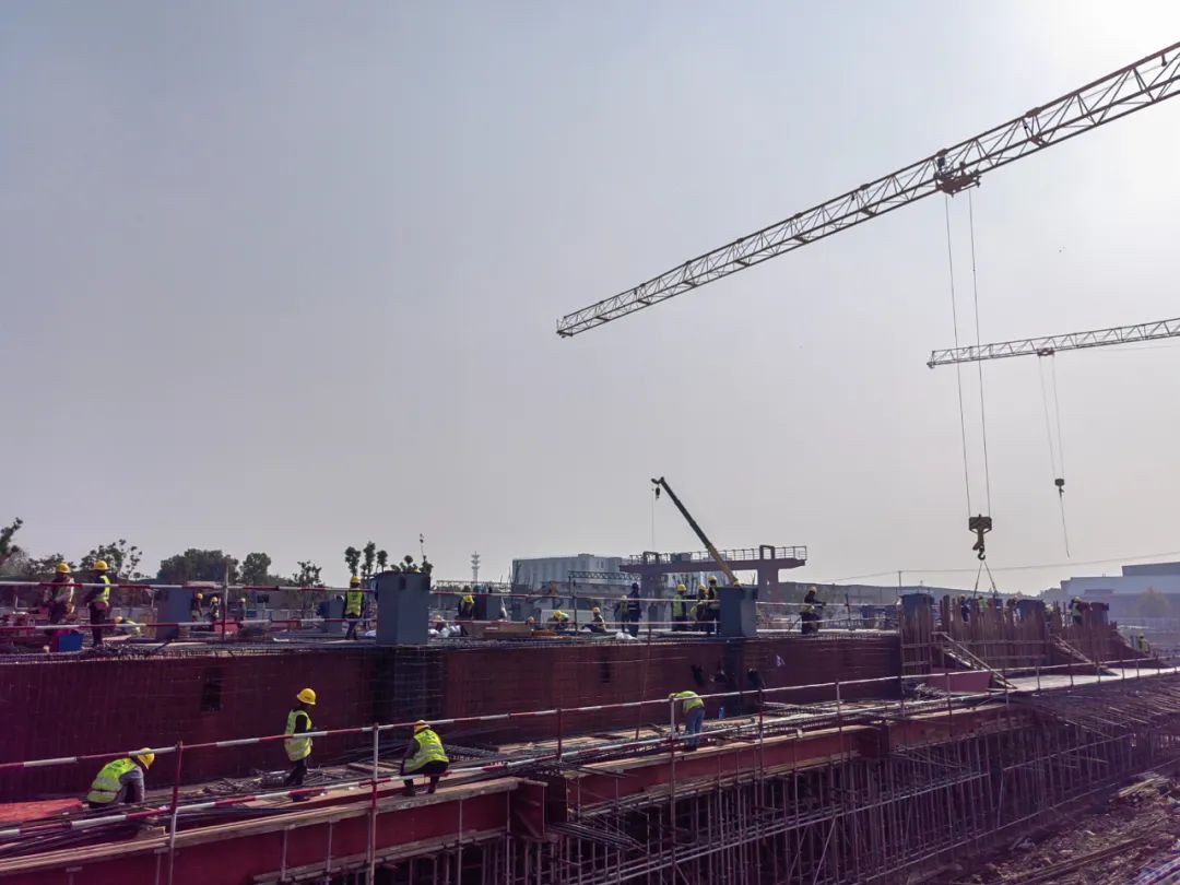 優(yōu)載體、強(qiáng)布局、拓空間！嘉定新城生物醫(yī)藥產(chǎn)業(yè)能級加速躍升-肽度TIMEDOO