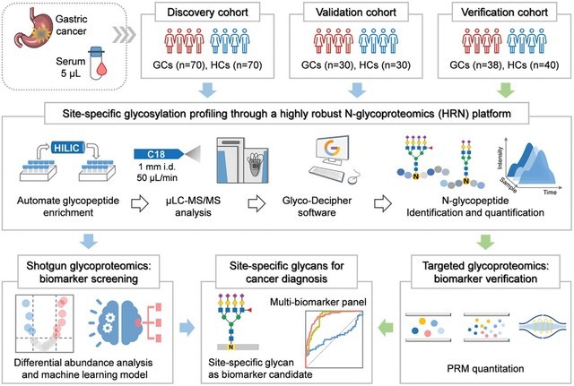 新型蛋白質(zhì)組分析系統(tǒng)可診斷早期胃癌標(biāo)志物-肽度TIMEDOO