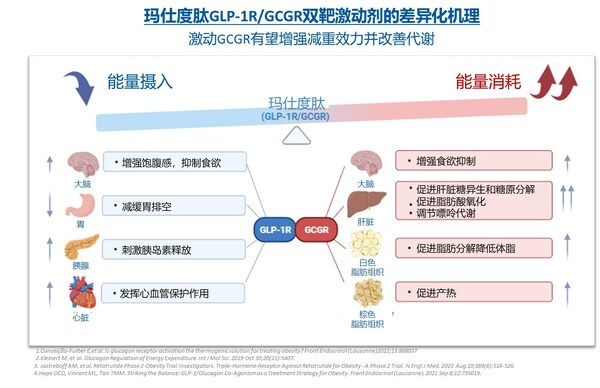 信達(dá)生物宣布瑪仕度肽 (IBI362) 高劑量9 mg中國肥胖III期臨床研究GLORY-2完成首例受試者給藥-肽度TIMEDOO