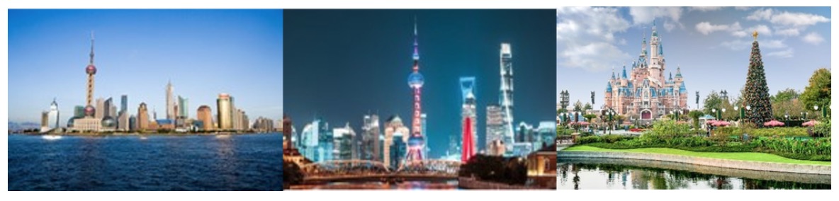 2024年3月7-8日·上?！?024（第四屆）類器官大會—類器官與新藥研發(fā)暨ISoOR 2024國際類器官高峰論壇-肽度TIMEDOO