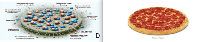 發(fā)表3天被撤稿！中國作者用AI生成論文插圖，每幅都荒謬-肽度TIMEDOO