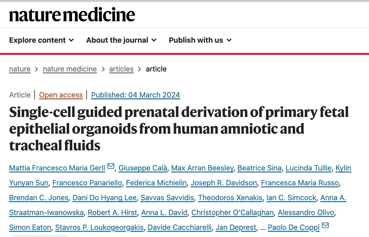 羊水中細胞引領(lǐng)科學突破:創(chuàng)造胎兒類器官新途徑,無需中止妊娠-肽度TIMEDOO