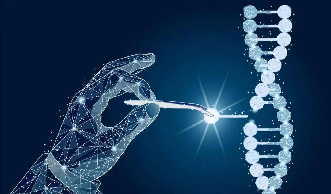 研究人員用基因編輯療法在實(shí)驗(yàn)室環(huán)境下“消滅”艾滋病毒-肽度TIMEDOO