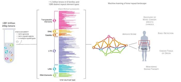 機(jī)器學(xué)習(xí)在癌癥早期檢測(cè)中的突破:約翰斯·霍普金斯開(kāi)發(fā)ARTEMIS方法-肽度TIMEDOO